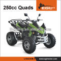 Corps en plastique : vélo/250CC ATV Kawasaki ATV Quad/Quad